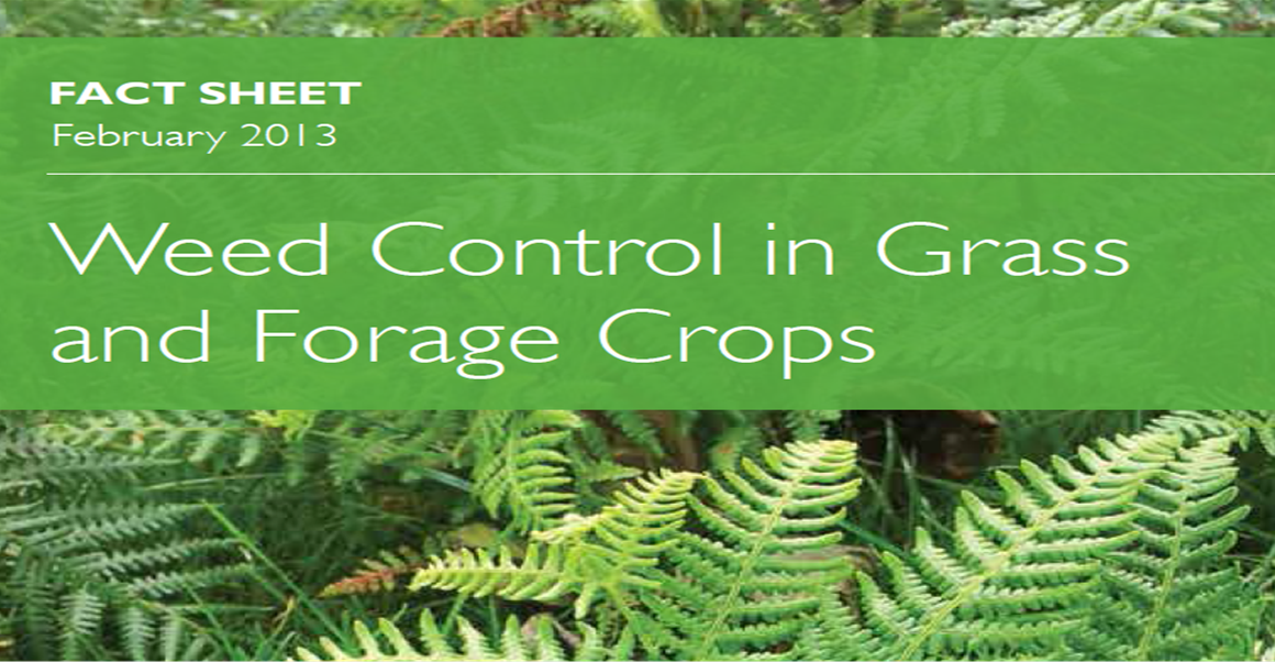 Organic Eprints Weed Control in Grass and Forage Crops